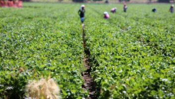 Italie : Plus de 10 000 Marocains régularisés durant la Covid-19