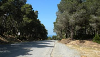 Dans les forêts près de Melilla, des affrontements violents entre la police et les migrants, « rejetés de partout »