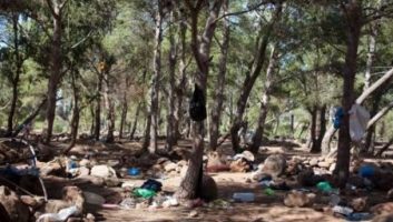 Nador : 15 migrants arrêtés dans la forêt de Gourougou