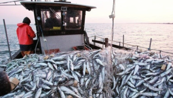 Le Maroc et l’Espagne veulent contourner l’expiration du protocole de pêche